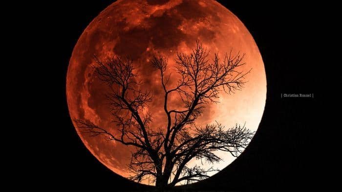 Entenda o fenômeno da Lua de Sangue