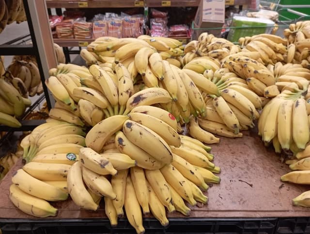 Mudanças climáticas ameaçam o cultivo da banana nanica na América Latina e podem elevar os preços. Legenda da imagem. Reprodução: Mariana Gonçalves/g1