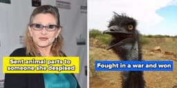 Legenda da imagem. Reprodução: BuzzFeed