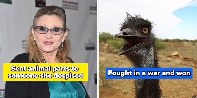 Legenda da imagem. Reprodução: BuzzFeed