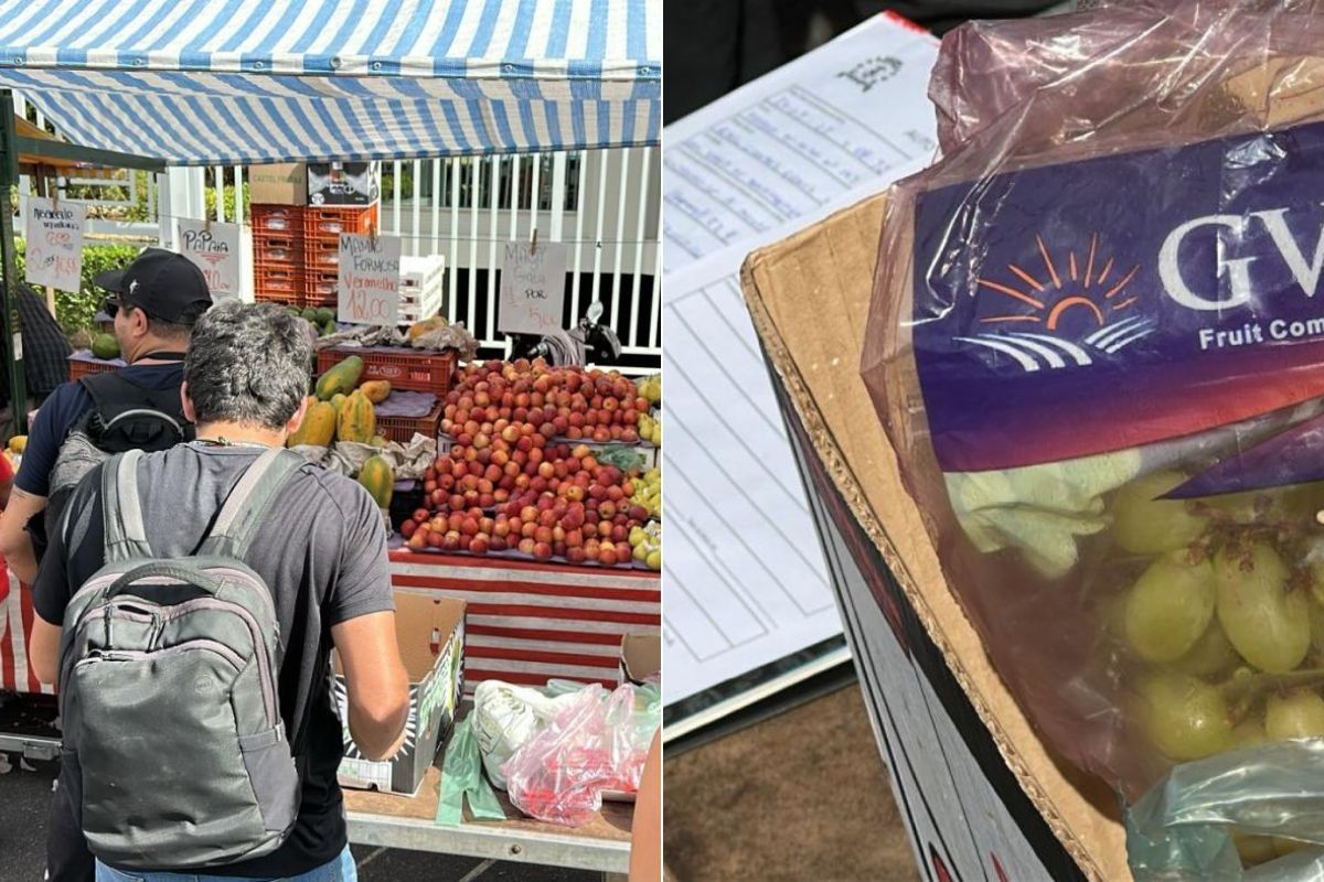 Força-tarefa em feiras de Santos após irregularidades.. Reprodução: G1