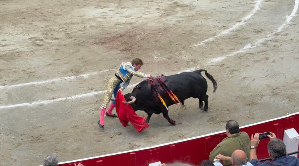 Borja Jiménez realiza uma estocada em seu primeiro touro na corrida de Azpeitia.; Reprodução: El País