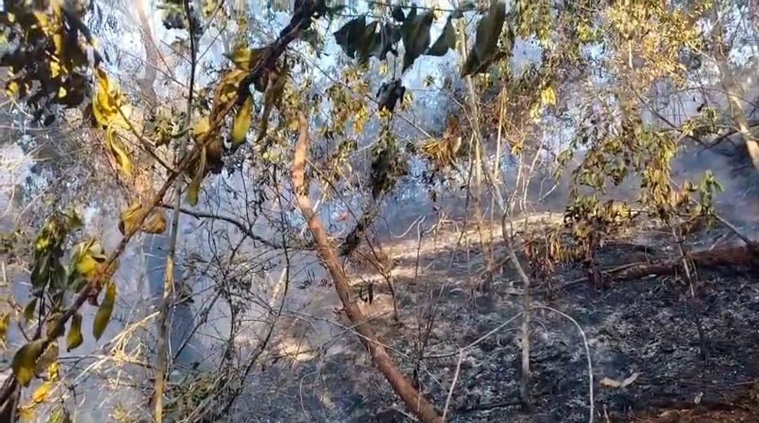 Alerta no Rio: quedas de balões, incêndios e invasões.. Reprodução: G1