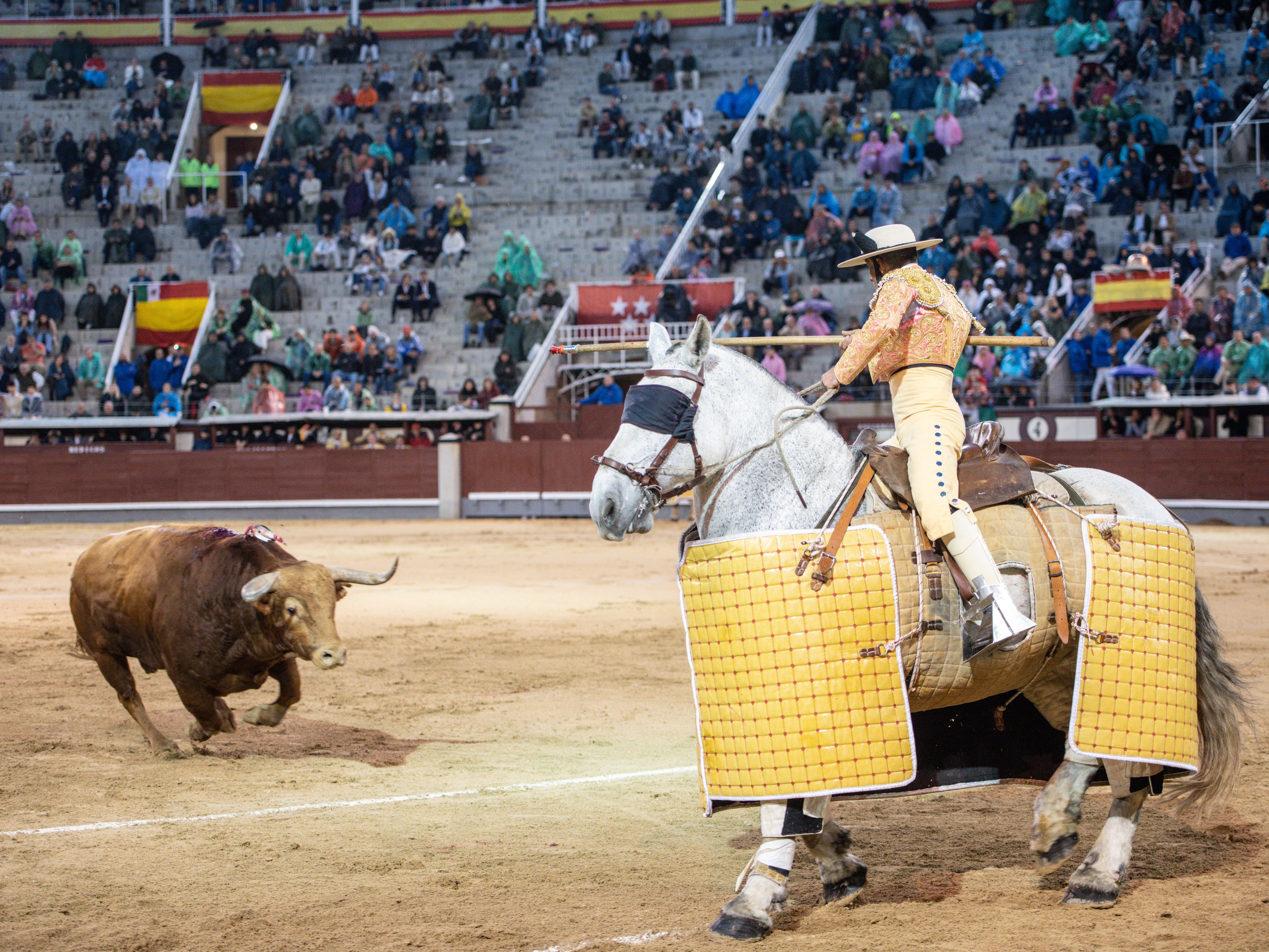 O touro Brigadier interage com o picador durante a Corrida de la Prensa em Las Ventas; Legenda da imagem. Reprodução: El País