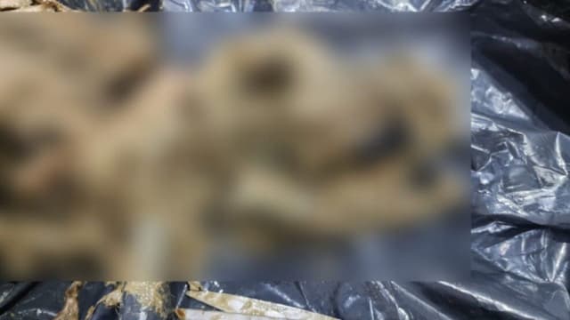 Linchamento em Acre: Boato Mortal Sobre Morte de Bebê