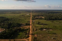 Congresso discute brecha para asfaltamento da BR-319 na Amazônia. Reprodução: Oglobo