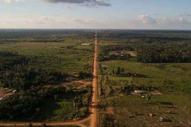 Congresso discute brecha para asfaltamento da BR-319 na Amazônia. Reprodução: Oglobo