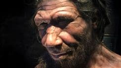 Estudo revela novas informações sobre os neandertais
