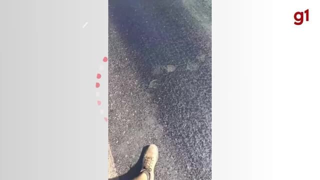 Onda de Calor Derrete Asfalto em Maracajá SC