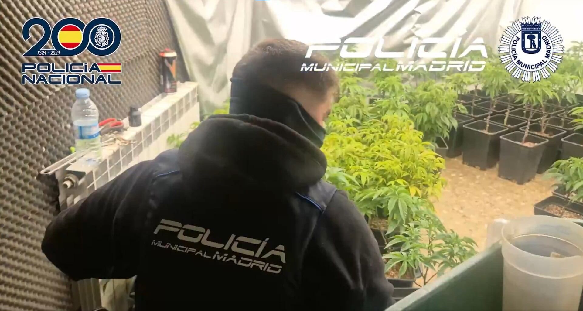 Polícia desmantela quatro narcopisos do mesmo clã em Madrid; sete detidos em duas operações.. Reprodução: Elpais