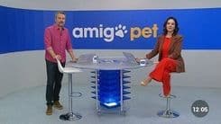 Polícia investiga furto de cães Cavalier King Charles Spaniel em Caraguatatuba; Reprodução: Globo