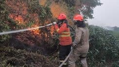 AGU multa infratores ambientais do Pantanal em R$ 725 milhões