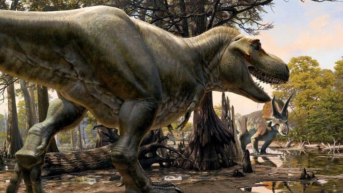 Por que dinossauros não evoluíram após o asteroide