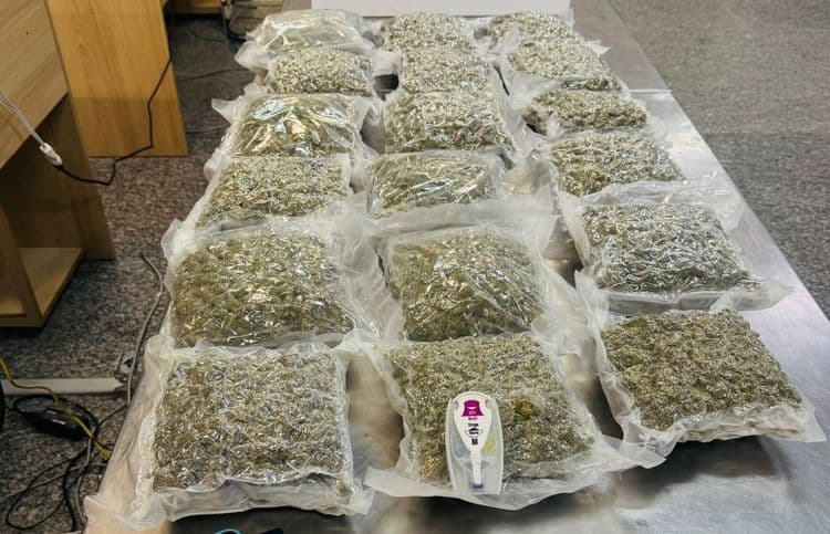 Homem de 27 anos é preso no Galeão com 9 quilos de skunk em bagagem. Reprodução: Globo