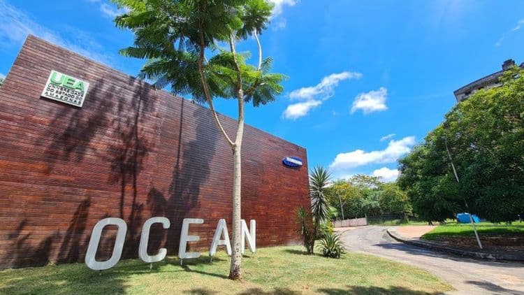 Cursos gratuitos de IA e programação oferecidos pela Samsung
