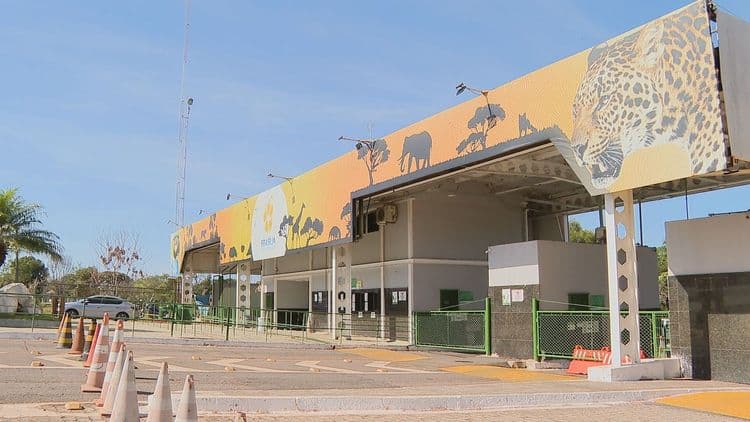 Funcionários do Zoológico de Brasília são monitorados após contato com emu com suspeita de gripe aviária. Reprodução: TV Globo