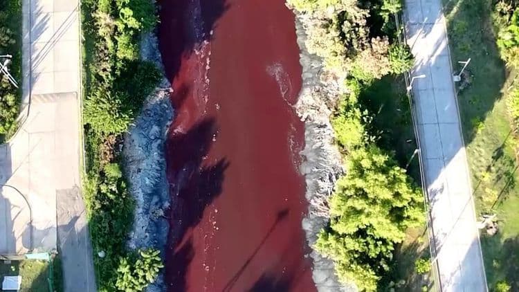 Rio na Argentina surpreende população ao ficar vermelho