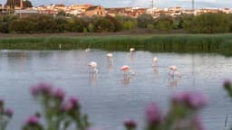 Legenda da imagem. Reprodução: Último Segundo