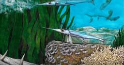 Pesquisadores reconstituem em 3D fósseis de peixe pré-histórico encontrado na Antártida. Reprodução: Veja.