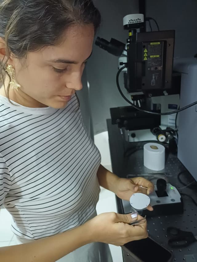 Pesquisadores descobrem microplásticos em placentas de gestantes em Alagoas, alertando sobre riscos ao feto. Reprodução: Lucas Roberto
