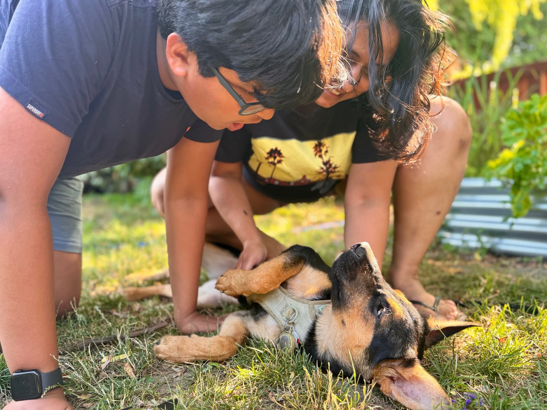 Meu filho aprendeu responsabilidade ao cuidar de Mirage, a cachorrinha que fosterou neste verão. Legenda da imagem. Reprodução: Shilpashree Jagannathan