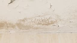 Produto eficaz no combate à umidade em ambientes fechados. Reprodução: El País