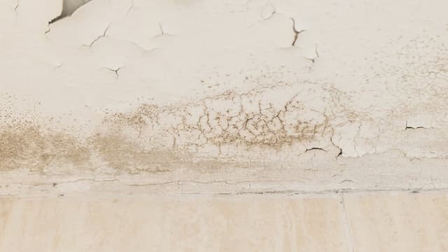 Produto eficaz no combate à umidade em ambientes fechados. Reprodução: El País