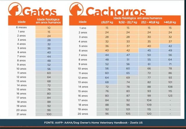 Tabela mostra equivalência de idade entre cães, gatos e humanos baseada em envelhecimento celular. Reprodução: Retorno do item 11