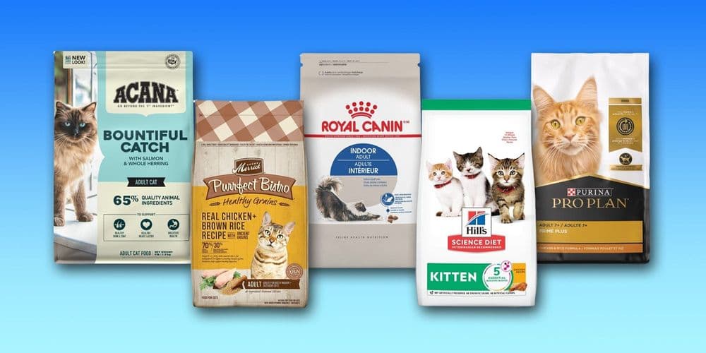 Melhores marcas de ração seca para gatos incluem Acana, Purina e Merrick. Reprodução: Business Insider