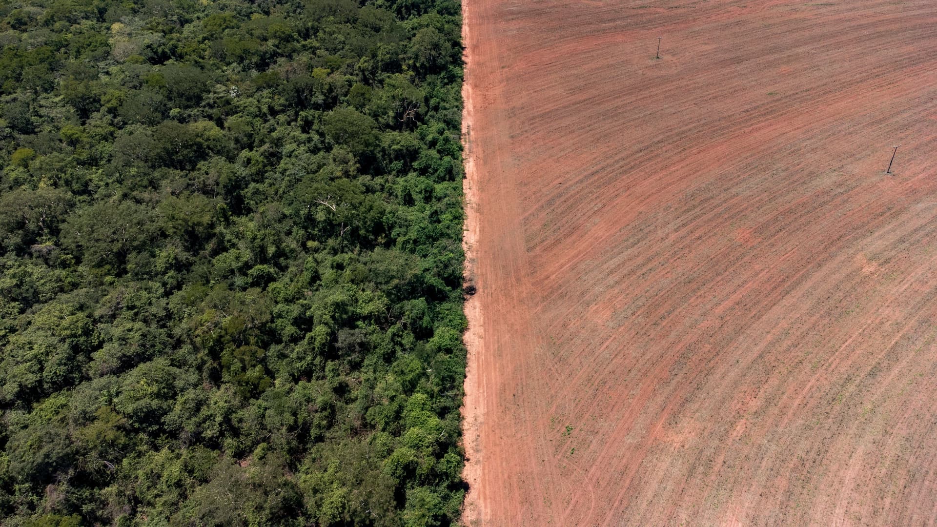 Desmatamento no Brasil: 2,9 milhões de hectares perdidos anualmente, impactando a cobertura natural. Reprodução: Globo