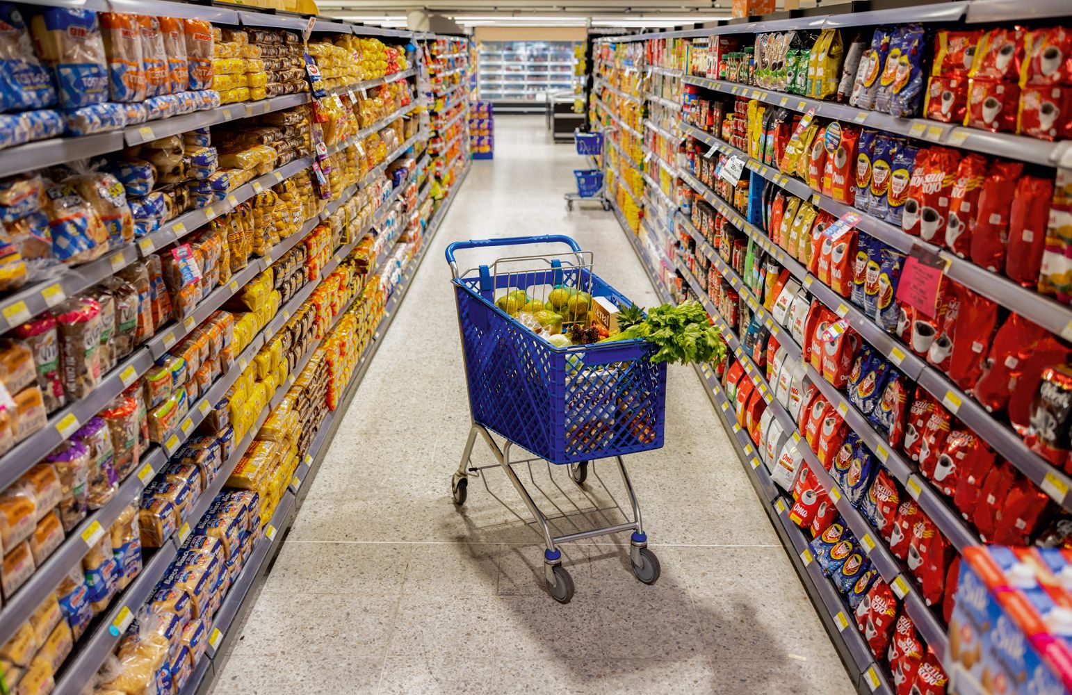 Óleo, azeite, frutas e carne nobre aliviam preços nos supermercados - Foto: VEJA