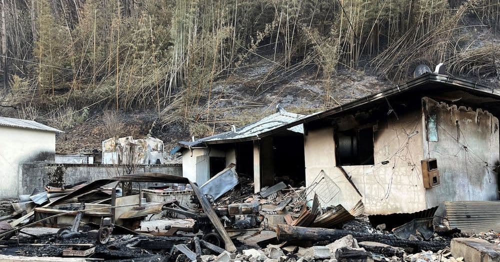 Incêndios Florestais na Coreia do Sul Causam Devastação