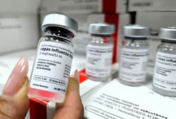 Legenda da imagem. Reprodução: Retorno do item 11