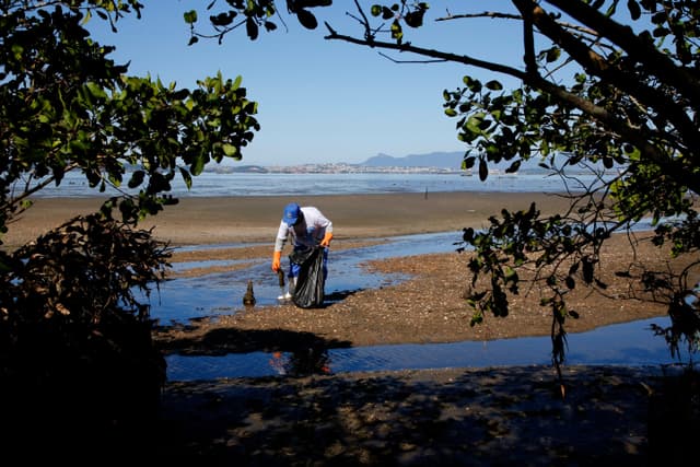 Reflorestamento na Baía de Guanabara não basta para conter o aquecimento global. Legenda da imagem. Reprodução: O Globo