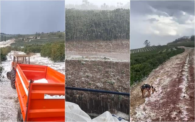 Granizo danifica lavouras de café em Monte Santo de Minas durante colheita. Reprodução: Globo