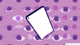 Dados do U.S. Customs and Border Protection e outras empresas foram comprometidos por spyware. Reprodução: TechCrunch