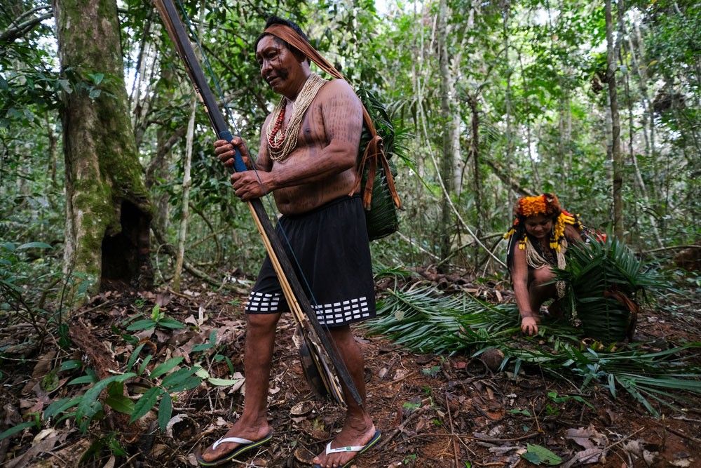Amazonas registra 116 defensores protegidos por ameaças ligadas a crimes ambientais e conflitos de terra