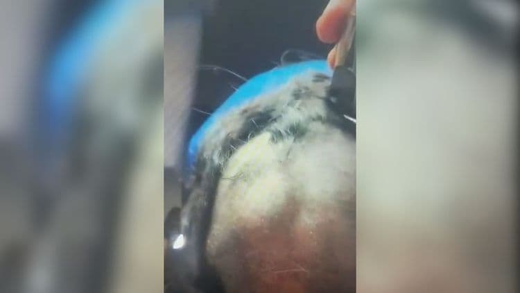 Mulher é agredida e tem cabelo raspado pelo ex-namorado em Prata, MG. Reprodução: Globo