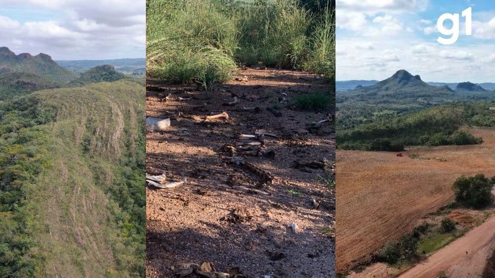 Descaso e abandono marcam a situação do Domo de Araguainha, maior cratera de meteoro da América do Sul. Reprodução: Globo.