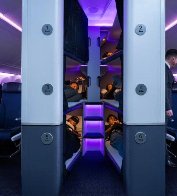 Companhia aérea da Nova Zelândia oferece cápsulas de soneca na econômica, mas dormir de conchinha é proibido.. Reprodução: G1