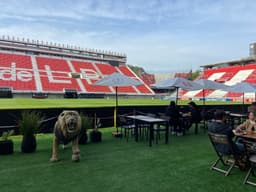 Torcida se prepara para grande festa no estádio Jorge Luis Hirsch em busca de reabilitação na Libertadores. Reprodução: Globo