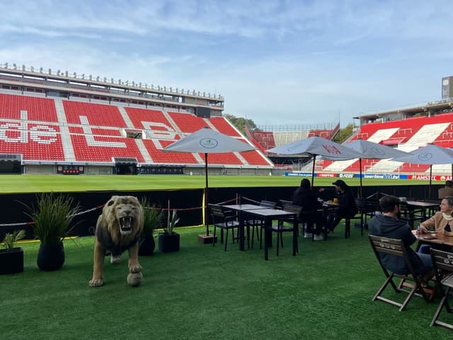 Torcida se prepara para grande festa no estádio Jorge Luis Hirsch em busca de reabilitação na Libertadores. Reprodução: Globo