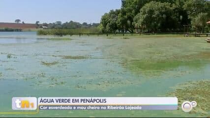 Moradores de Penápolis lidam com Ribeirão Lajeado poluído e mau cheiro. Reprodução: TV TEM