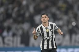 Botafogo Enfrenta Transfer Ban Mesmo Após Grandes Investimentos