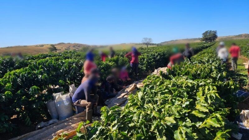 Operação resgata 32 trabalhadores em situação análoga à escravidão em fazenda de café em MG