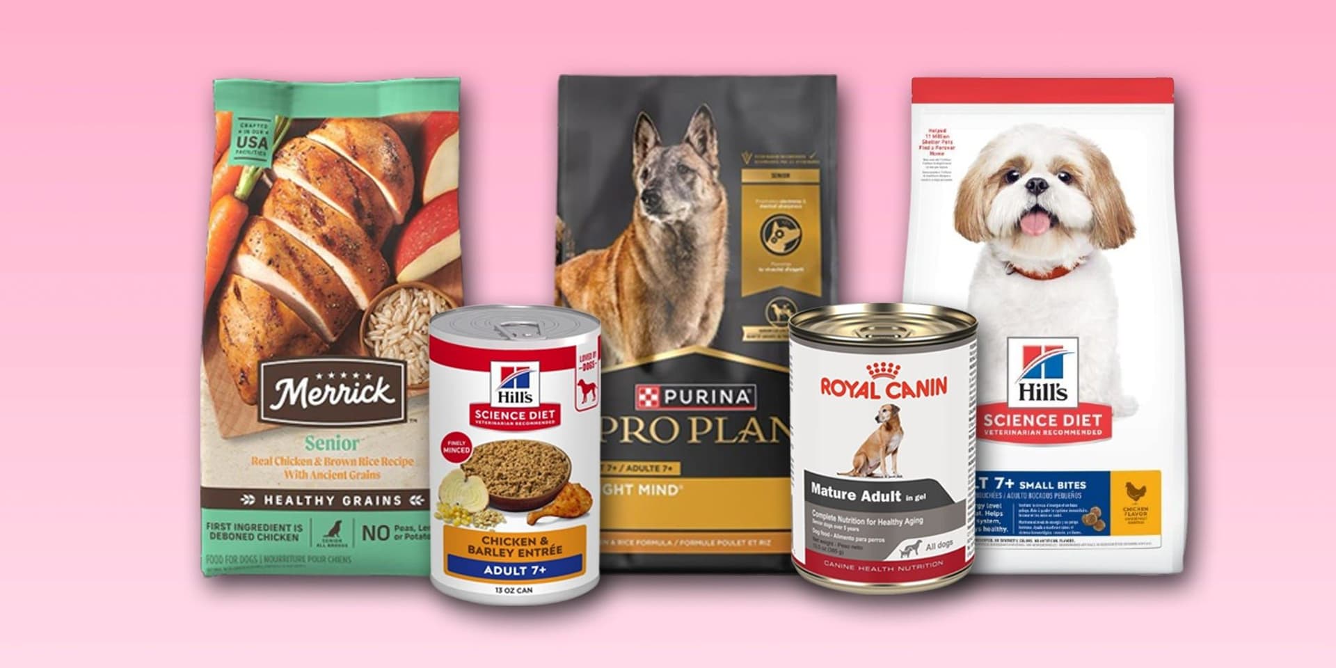 Destaques de alimentos para cães idosos, incluindo opções secas e molhadas. Reprodução: Business Insider