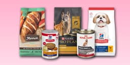 Destaques de alimentos para cães idosos, incluindo opções secas e molhadas. Reprodução: Business Insider