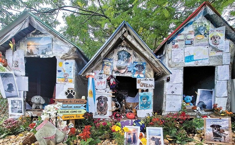 Memorial de Cao Orelha, foco de debate sobre falhas na apuração do caso. Reprodução: Oglobo