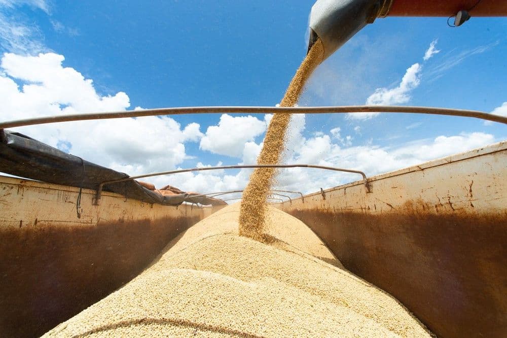 Brasil busca aumentar exportações para a China
