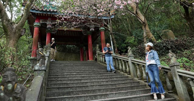 Cerejeiras em Flor e Trem a Vapor: Surpresas em Taiwan